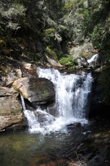 Fototapeta premium helen