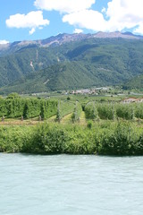 Apple plantation at the river Etsch in South Tyrol - the largest fruit-growing area in Europe