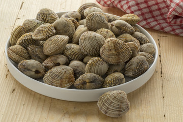 Dish with fresh raw warty venus clams