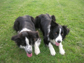 Lara&Greta le due sorelle