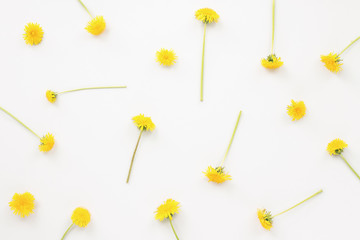 Dandelion flowers on grey background, flat lay, top view