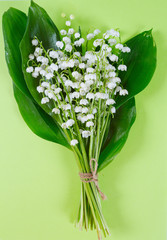lilly of the valley isolated on white