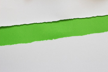 pieces of torn paper on green background. copy space