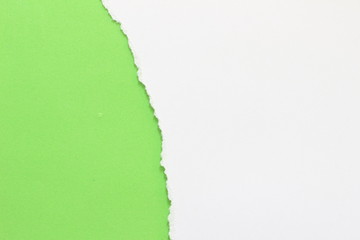 pieces of torn paper on green background. copy space