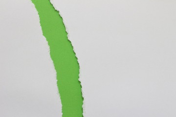 pieces of torn paper on green background. copy space