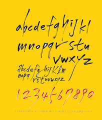 벡터 문자 / 손으로 쓴 글씨체