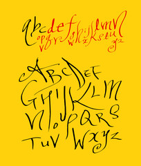 벡터 문자 / 손으로 쓴 글씨체