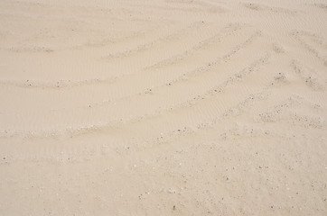 Texture of yellow building sand. Photo taken in summer on a construction site, outdoors