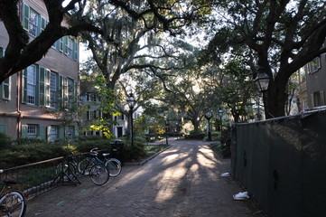 Fototapeta premium charleston sc