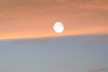 Naklejka na ściany i meble Nature background of shining full moon in dusk sky