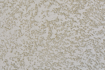 Texture of decorative plaster