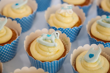 Small Fairy Cupcakes on display for catering