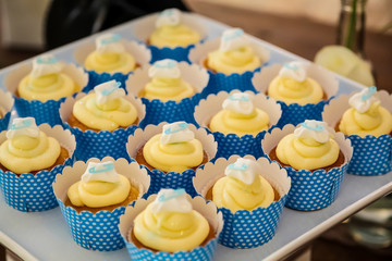 Small Fairy Cupcakes on display for catering