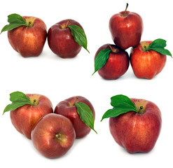 many different apples on a white background, red and yellow apples without background, many different.