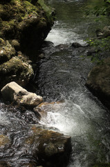 L'eau vive de rivière