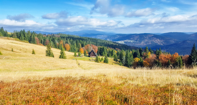Beskid Żywiecki - Hala Rycerzowa