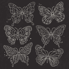 Vector, white silhouette, set various decorative butterflies