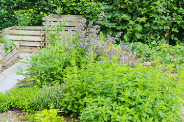 Kräuterbeet Schrebergarten