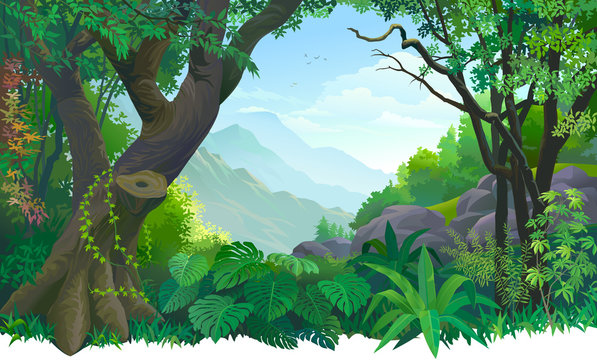 Jungle Background Cartoon Images – Browse 136,158 Stock Photos, Vectors,  and Video | Adobe Stock