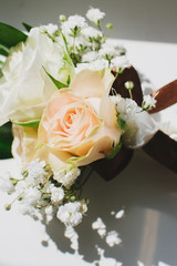Beautiful buttonhole on the white background