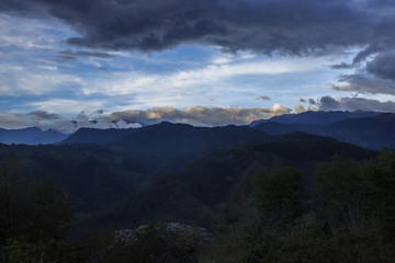 Valle de Cocora, salento colombia