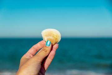shell in female hand on background of the sea
