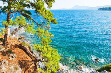 Sea coast with turquiose water and pines near Kemer, Turkey.