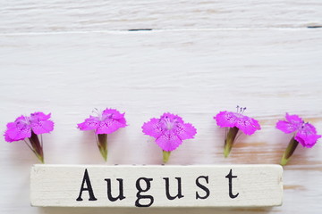 top view of wooden calendar with August sign and pink flowers.