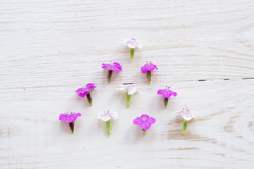 Chamaenerion flowers on white wooden background
