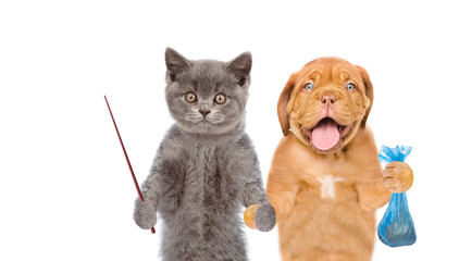 puppy and kitten holds plastic bag and  pointing stick. Concept cleaning up dog droppings. isolated...