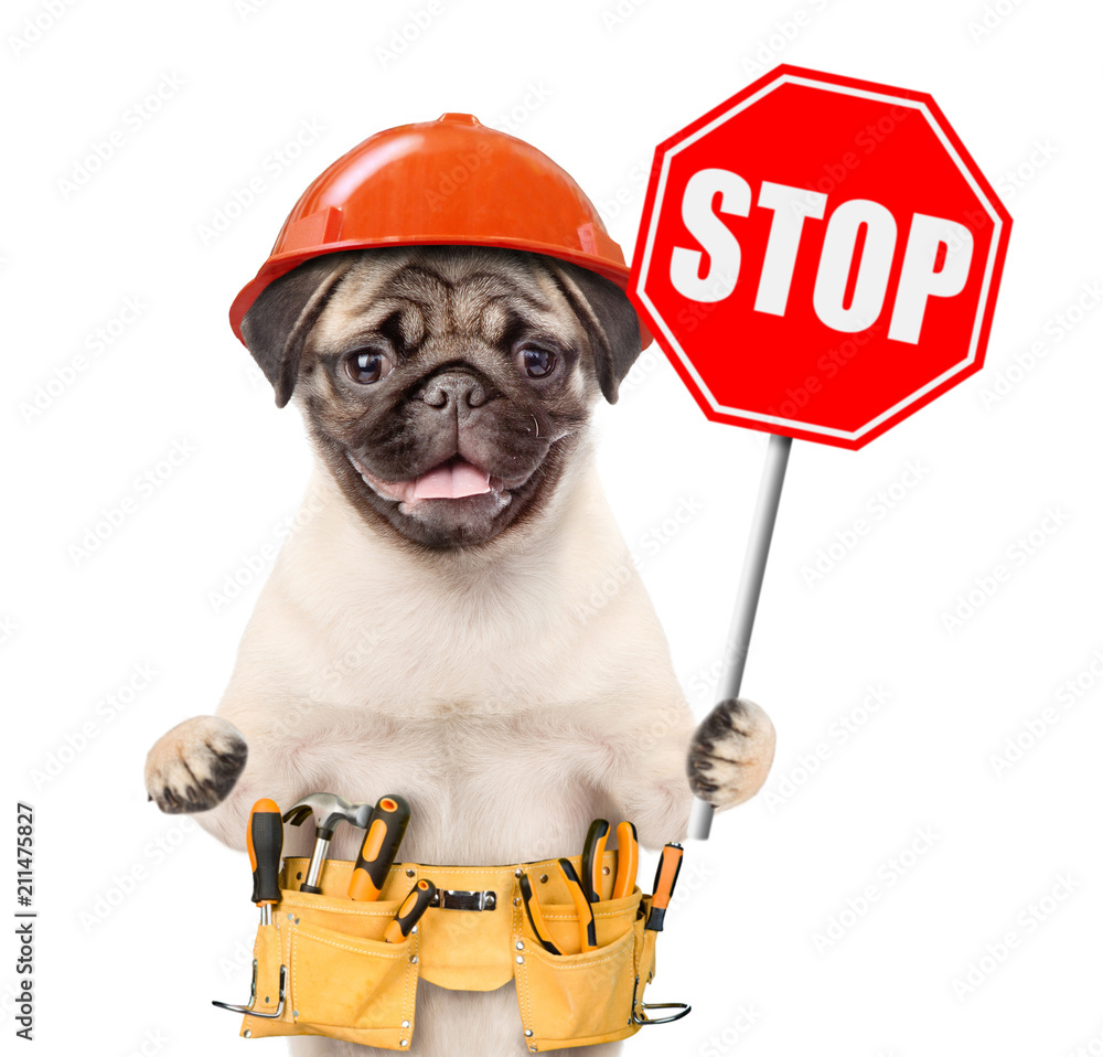 Poster funny puppy in hard hat with tool belt showing stop sign. isolated on white background