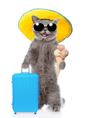 Happy cat in summer hat holds suitcase and ice cream. isolated on white background