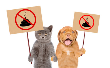 puppy and kitten holds signs 