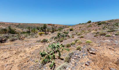 Paysage de Mirleft vers Tiznit - Maroc