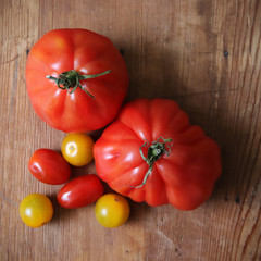 tomatoes