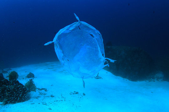 Plastic bag pollution in ocean 