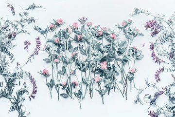 Wild flowers composing on white background, top view. Pastel color