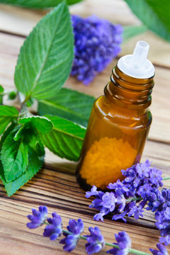 Homeopathy and healing herbs   -   lavender and peppermint