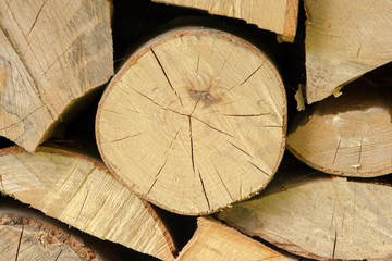 Naklejka premium Neatly stacked full frame wood beams and branches background texture patterns