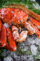 дальневосточный краб