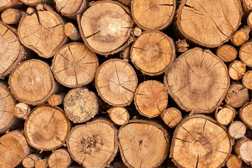 a wooden wall made of slices of a tree, a background of round branches and logs laid out exactly