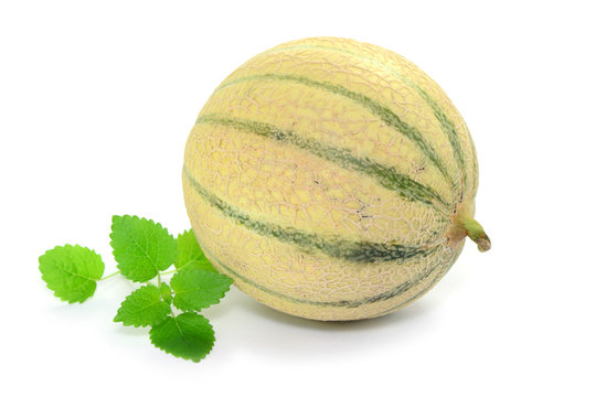 Melone 