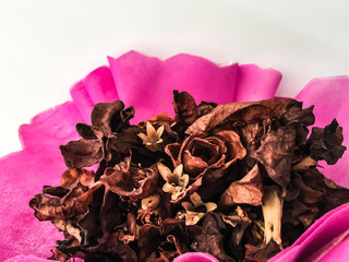 closeup bouquet of dried roses wrapped in pink paper on white background
