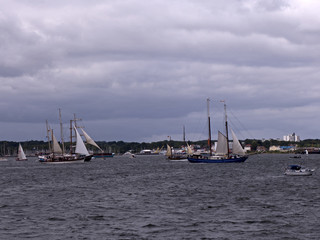 Fototapeta na wymiar Windjammer Ausfahrt zur Kieler Woche. Viele Segelboote auf der Förde