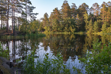 Fototapeta na wymiar The morning sun illuminates the majestic trees and the surface of the lake. Valaam is a cozy and quiet piece of land, the rocky shores of which rise above the lush waters of lake Ladoga