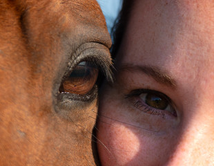 Détail Portrait cheval oeil et femme