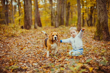 Boy with beagle