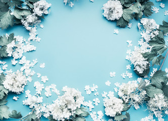 Pastel flowers blooming frame on blue background, top view
