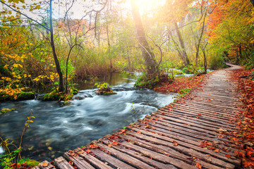 Amazing tourist pathway in colorful autumn forest, Plitvice lakes, Croatia