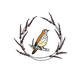 Hand drawn bird emblem